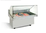 Infrico USA IDC-VRP13 Straight Glass Fish Display Case