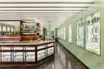 Oscartek GALA C830 32.67'' Glass Refrigerated Bakery Display Case with