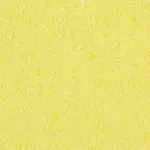 San Jamar 36550100 Carlisle - Sponge