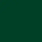 San Jamar 446008 Carlisle - Salad/Buffet Spoon