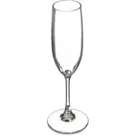 San Jamar 564407 Carlisle - Alibi™ Champagne Flute