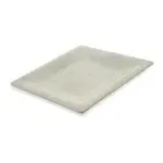 San Jamar 6402206 Carlisle - Grove Dinner Plate
