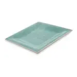 San Jamar 6402215 Carlisle - Grove Dinner Plate