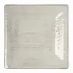 San Jamar 6402306 Carlisle - Grove Dinner Plate