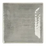 San Jamar 6402318 Carlisle - Grove Dinner Plate