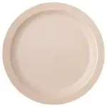 San Jamar PCD21025 Carlisle - Plate