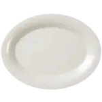 Thunder Group AD209WS Platter