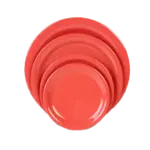 Thunder Group CR106RD Plate