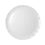 Thunder Group RF1016W Plate