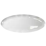 Thunder Group RF2030W Platter