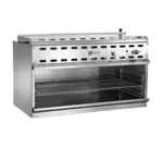 Wolf Range WICM48 Cheesemelter